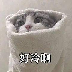 表情包闭嘴吧丑八怪