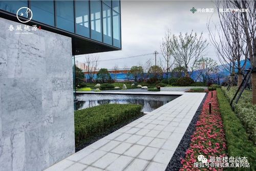 海盐蓝城春风桃源如果观望我建议你看完这个房子后再观望一定不会让您失望