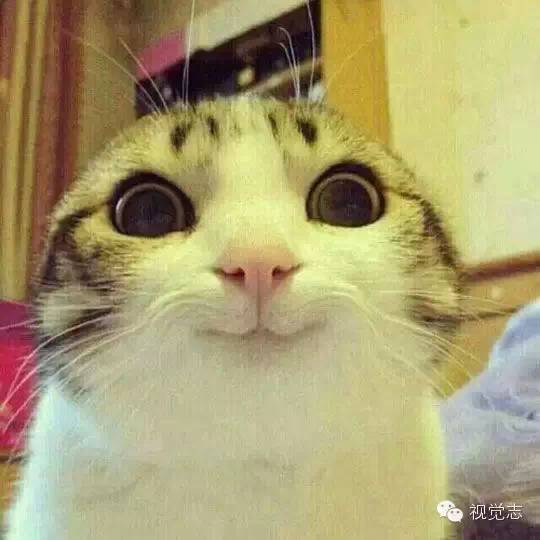 各行各业表情一览表,笑死不偿命