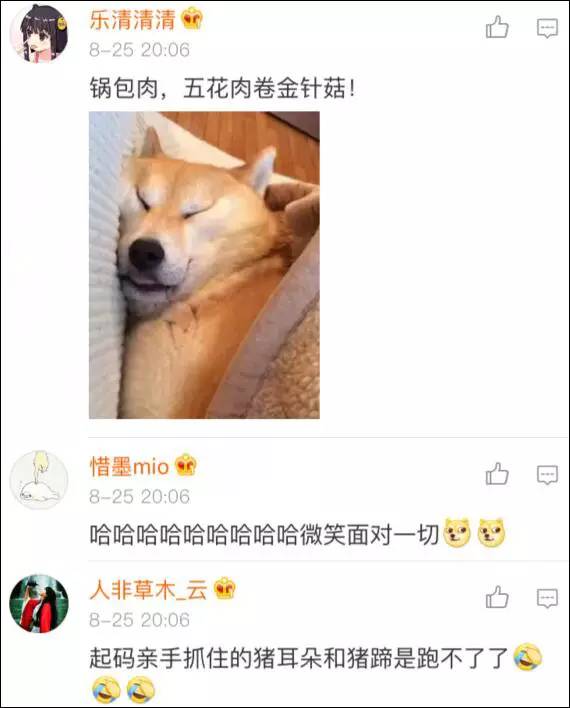 别再笑这只猪了,你有本事凭一个表情火遍全世界吗