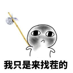 表情包你的小胖子已睡着