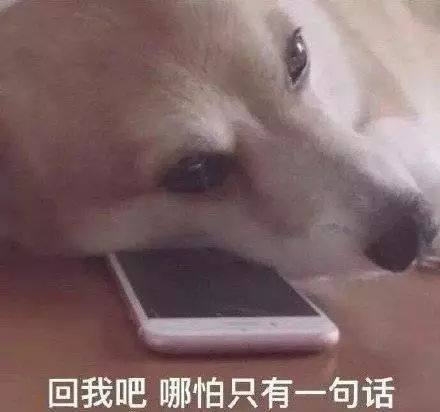 收到消息不回复的人,他们是什么心理