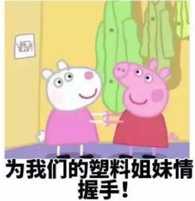 我的塑料姐妹花为我们的友谊干杯