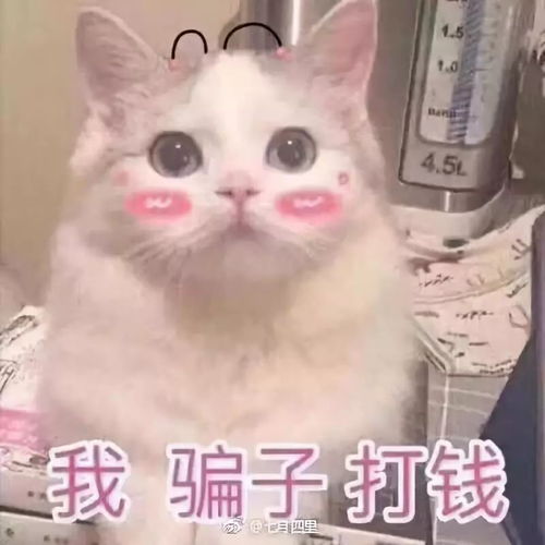 这世上,没人比你的表情包更了解你