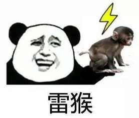 会讲粤语在香港才混得开请收下这份粤语武功秘籍搜狐教育搜狐网