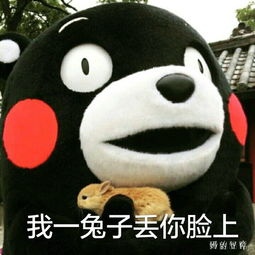 求扑倒求来撩