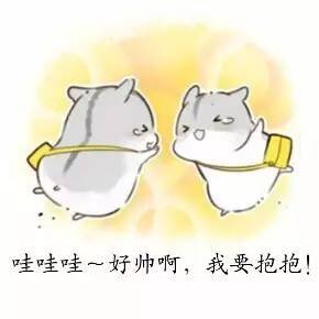 青春湘环wefighting园林专属