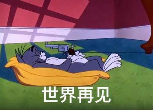 爱猫如命,却对它过敏克服还是弃养