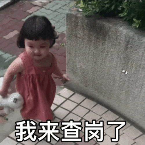 罗熙表情包我来查岗了,是不是又在打游戏