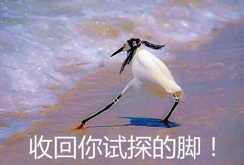 盘点几大奇葩高薪职业,这年头嘿嘿嘿也需要指导