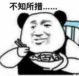 我想不通猫咪蹲马桶里近期斗图表情包精选2018124斗图表情
