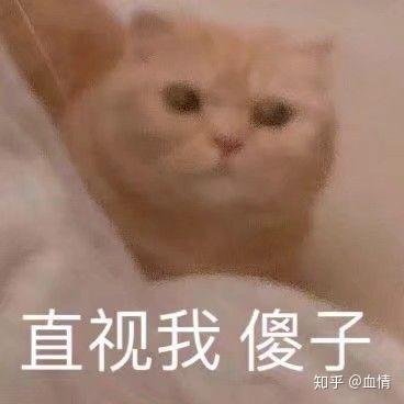 对女人不感兴趣表情包