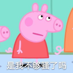 小猪佩奇是我不够骚嘛表情包最近超火表情包合集