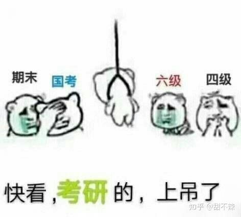 你有哪些让你一秒变开心的表情包