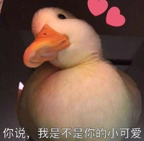 欧阳娜娜的vlog太火强推5位vlog博主,比电影还下饭