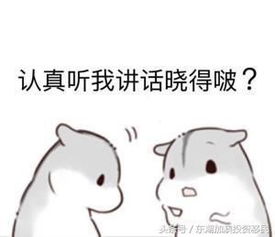 我们只推荐好的2019年qs世界大学排名出炉啦