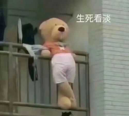 睡睡睡就知道睡表情包早睡