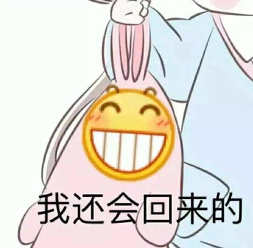11月16日神评论蜜蜂你们不讲武德