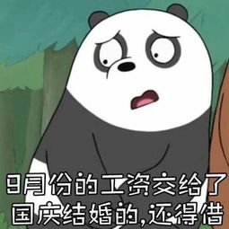 用表情包说话你的工资都去哪儿