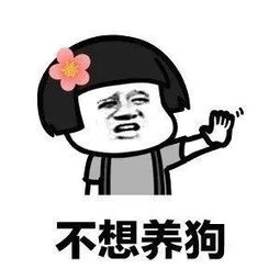 抖音我养你啊毕竟养猪致富表情包分享