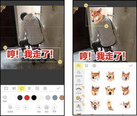 微信聊天斗图,你需要这些绝招