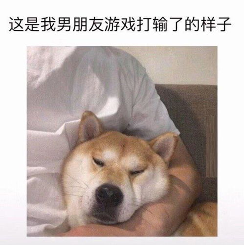 逗男朋友的暧昧表情包来了,仰望迷人帅气的小哥哥,我有一点想你