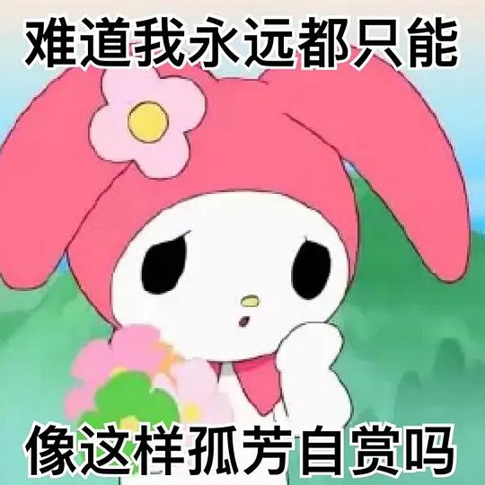 拜拜拜拜肉的相册美乐蒂图
