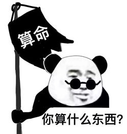 找工作时流的泪,都是当年填志愿脑子进的水