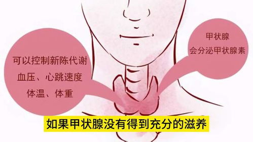 常吃一种水果,甲状腺干净又健康