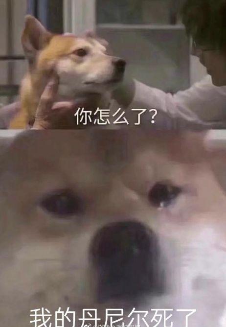 哈利波特手游表情包一图流虽然打不过,但是我有魔法图攻击
