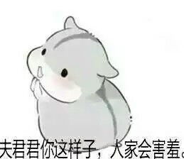 仓鼠w
