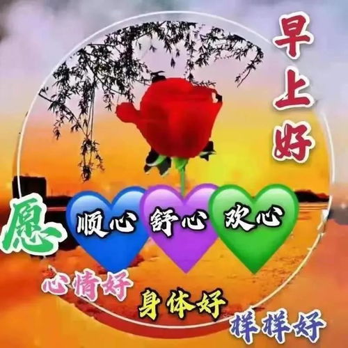 一天一句心情早安语,一句简单干净的早安语送给你