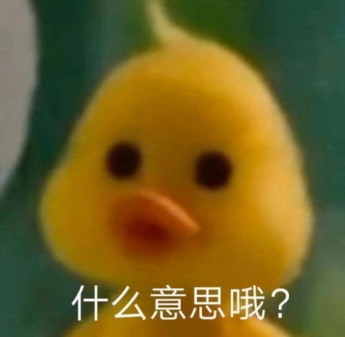 鸭鸭表情包先走一步