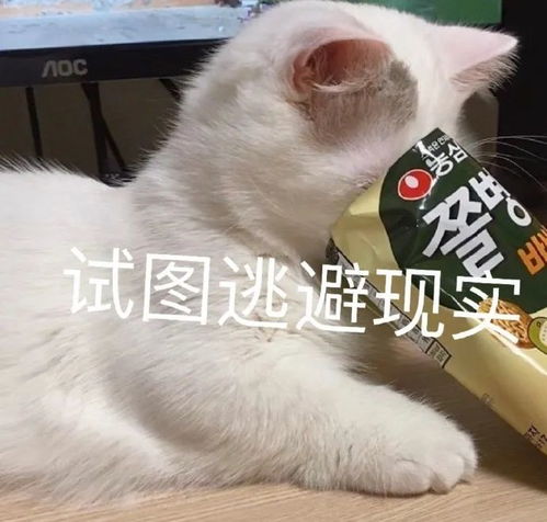 表情包女人只会影响我拔剑的速度