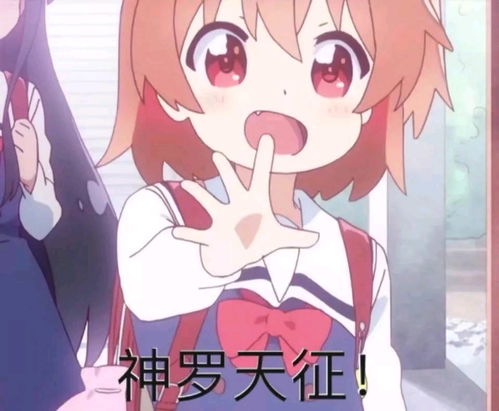 哔哩哔哩专栏