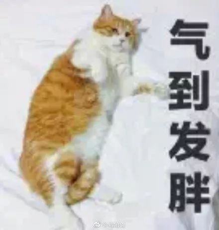 助动车撞上机动车,这次你站哪边