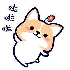 寻找了10多年的老房东,终于在云和民警的帮助下重逢.....