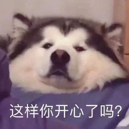 可爱沙雕表情包洗白白了来吧任你处置