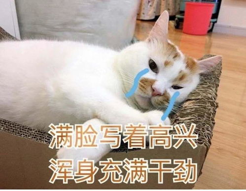 考研期间怎样面对可能的分手
