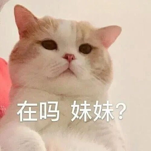 幽默笑话开车带妹子去相亲,三个红绿灯的路程,我开了半个小时