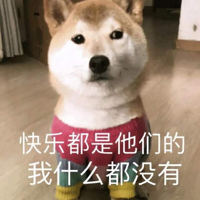 可爱沙雕表情包宝贝,今晚给你快乐