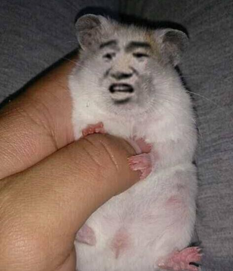 被黑客逼着上架的电影,票房超周星驰作品,如今恐要被被迪士尼雪藏了