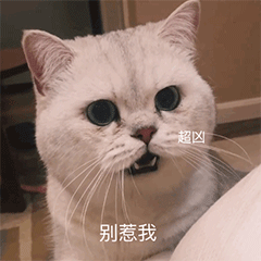 搞笑动态图gif表情包我养你啊