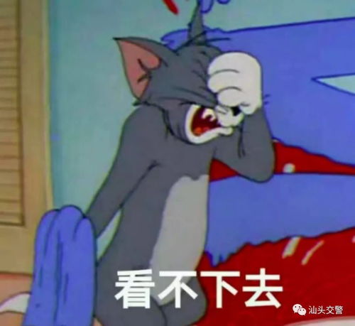 吓一跳萧山不少车主收到了违停罚单,凑近一看却是