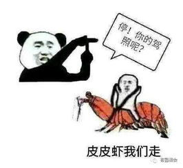讲真,我可能是一条只有七秒钟记忆的鱼