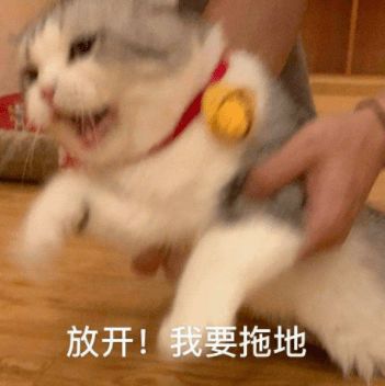 值得买丨给婆婆入了这款拖地神器后,她的腰再也没酸过