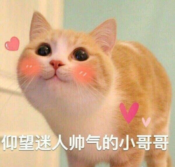 逗男朋友的暧昧表情包来了,仰望迷人帅气的小哥哥,我有一点想你