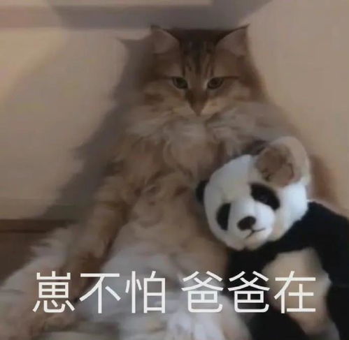 你不要比吃,不要比穿,就比学习