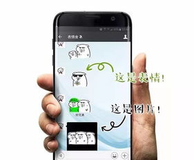 表情小坏坏高清表情大集合