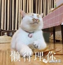 约粉不成反翻船,被爆后还骚扰威胁,现在动漫圈的瓜也忒劲爆了